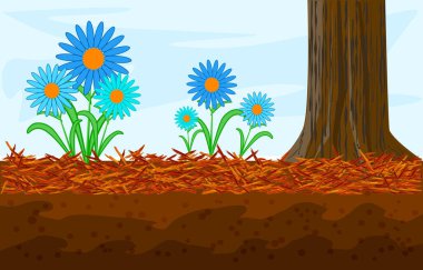 Mulch gardening concept with daisy, red mulch and tree trunk. Landscape design mulch. Mulches and mulching for decorative finish, soil protection. Woody waste using as a mulch. Stock vector illustration clipart