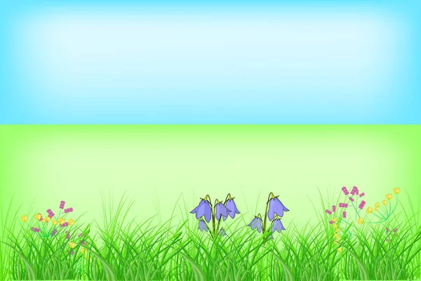 夏天或春天的花草 草地上开满了花和蓝天 摘要绿草 草与复印空间相邻 自然背景 春天宁静的全景 晴朗的天空 种群矢量说明 — 图库矢量图片