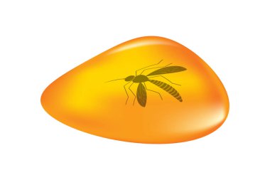 Beyaz arka planda izole edilmiş kehribar bir damladaki böcekler. Fosilleşmiş ağaç reçinesi. Antik kehribar karışımı. İçinde sivrisinek olan bir kehribar parçası. Kehribar parçası içinde tarihin bir parçasını koruyor. Tarih öncesi böcekli bir taş. Stok vektörü