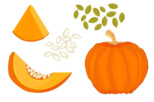 Pumpkin Isolated White Background Set Fresh Ripe Gourd Icon Pumpkin — Stock Vector