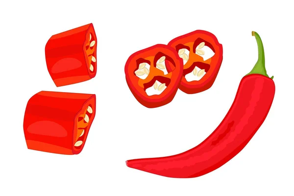 Chilli Paprika Izolované Bílém Pozadí Sada Červeného Horkého Přírodního Chilli — Stockový vektor