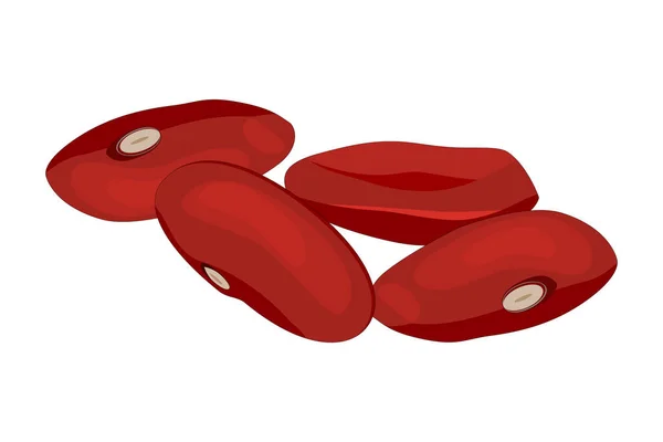 Kacang Merah Diisolasi Pada Latar Belakang Putih Seperangkat Kacang Ginjal - Stok Vektor