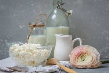 çeşitli süt ürünleri