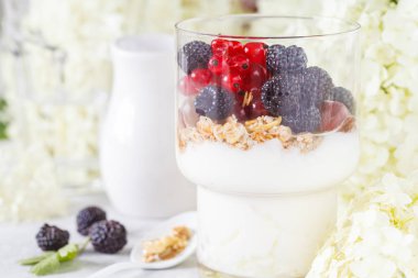 Sağlıklı hafif Kahvaltı: müsli, çilek ve yoğurt parfe