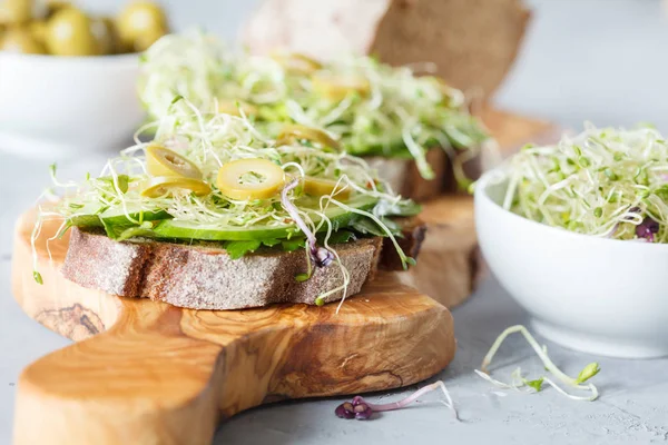 Sağlıklı renk vejetaryen sandviç.