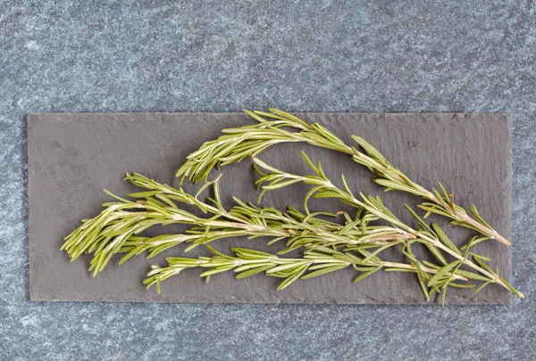Branches of rosemary on a slate — Stock Photo, Image