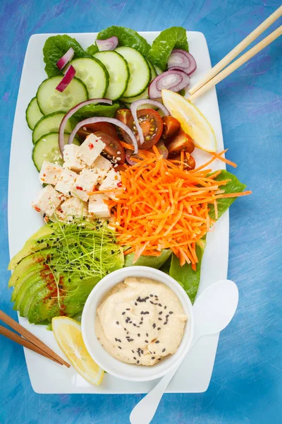 Rectangular rainbow vegan plate with vegetables, tofu and hummus