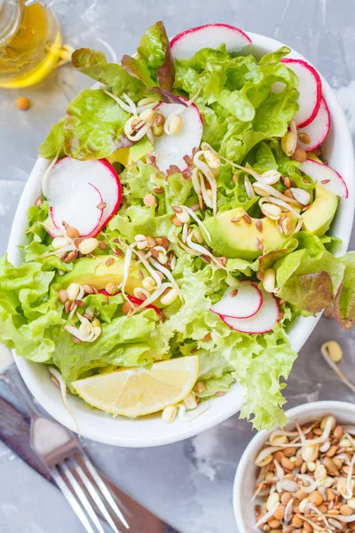 Insalata vegetale verde con germogli — Foto Stock