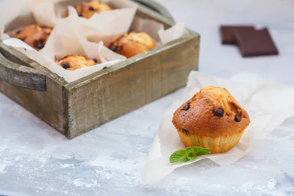 Muffin fatti in casa con cioccolato — Foto Stock