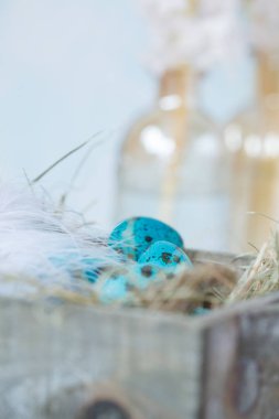 Paskalya dekorasyon boyalı mavi Bıldırcın yumurta yuva ve f