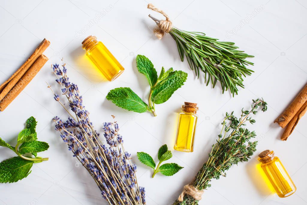 Essential oil in glass bottles. Thyme, mint, rosemary and lavender