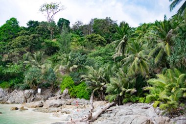 Tayland doğa beach