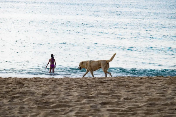 Thailand nature beach — Stock Photo, Image