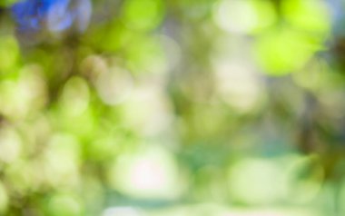 Doğal yuvarlak bokeh, arka plan