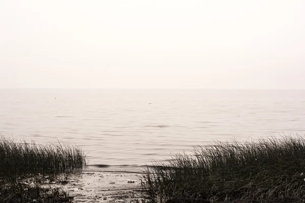 Rio del Plata familya karşı bulutlu, su, huzur, kıyı manzara