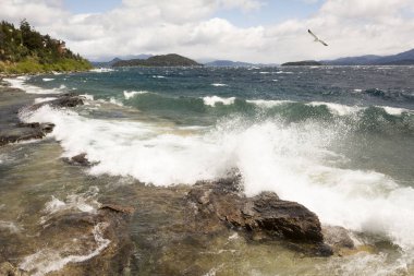 Bariloche, dalgalar, gölde tavuk yemeği uçan mavi gökyüzü bulutlu.