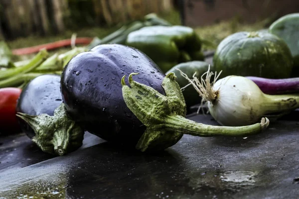 Świeże Warzywa Zbierane Naturalny Ogród Organiczny Pomidory Rzepa Marchew Bakłażan — Zdjęcie stockowe