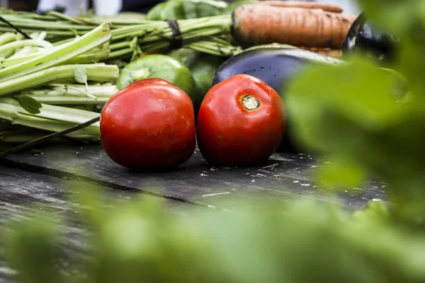 Taze sebze doğal organik bahçe hasat. Domates, şalgam, havuç, patlıcan, marul. Taze sebze ve salata wook yemeye