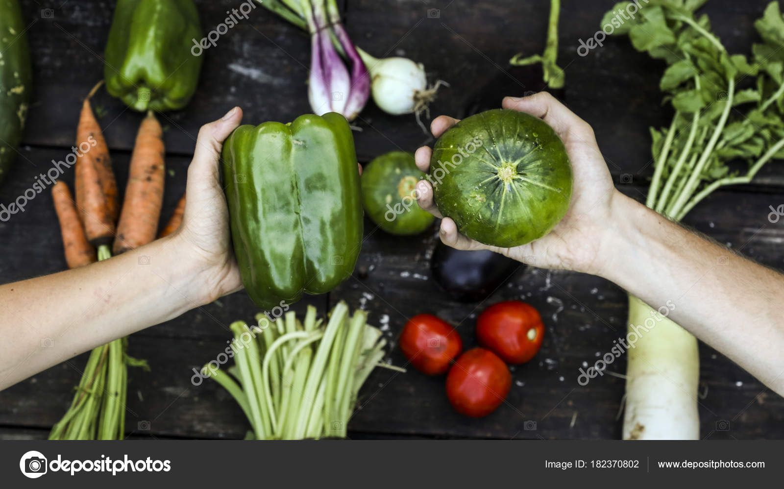 Hands Holding Organic Vegetable Fresh Vegetable Garden Salads Wook