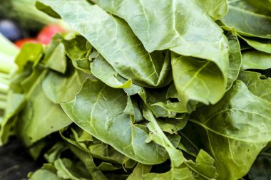 Taze sebze doğal organik bahçe hasat. Domates, şalgam, havuç, patlıcan, marul. Taze sebze ve salata wook yemeye