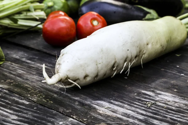 Taze sebze doğal organik bahçe hasat. Domates, şalgam, havuç, patlıcan, marul. Taze sebze ve salata wook yemeye