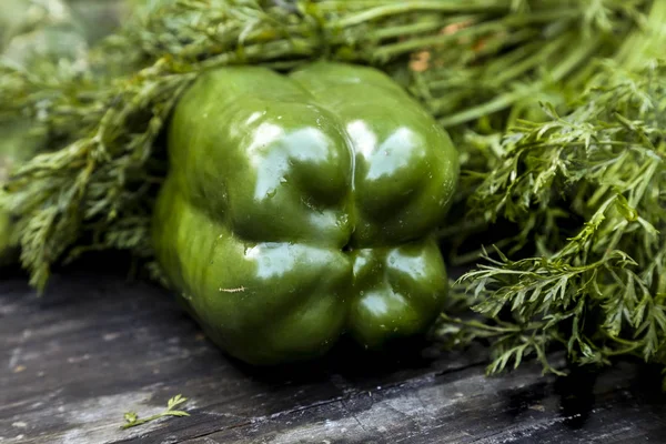 Taze sebze doğal organik bahçe hasat. Domates, şalgam, havuç, patlıcan, marul. Taze sebze ve salata wook yemeye
