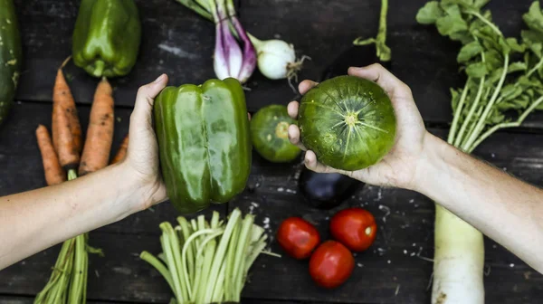 İkramederse sebze organik sebze Salatalar için taze sebze bahçesi, wook holding eller.