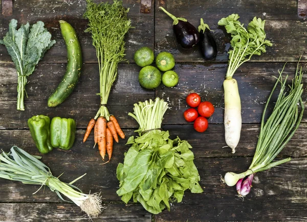 baharat marul, havuç, domates turp, kabak, patlıcan sebze sebze salata ve yemek için ahşap üzerine yerleştirilen
