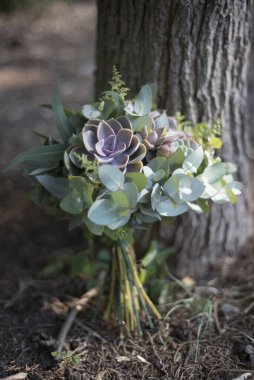 Gelin buketi sulu bitkiler doğa arka planı