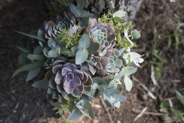 Gelin buketi yukarıdan bakınca sulu bitkiler ve okaliptüs yaprakları görünüyor.