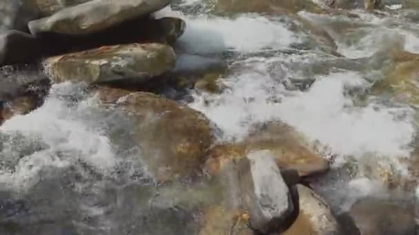 Fluss in rauchigen Bergen, fließender Fluss im Wald — Stockvideo