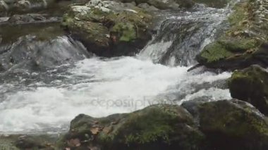 Dumanlı dağlar, nehirde akan nehir orman,