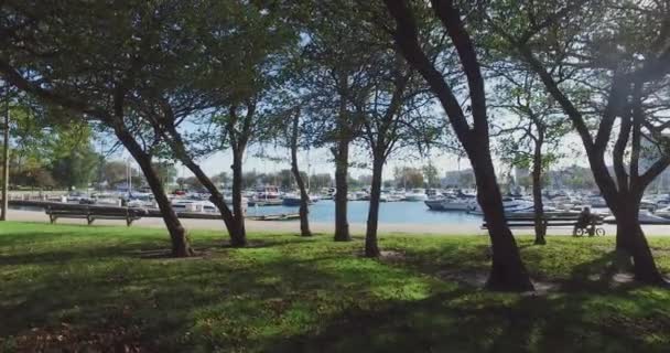 Park in Chicago met mooie achtergrond — Stockvideo