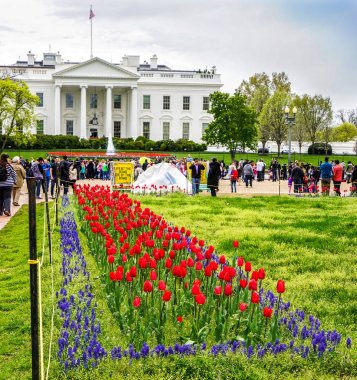 Washington Beyaz Saray çiçekler