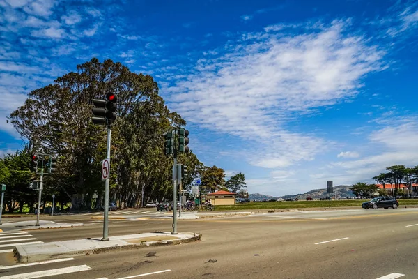 Eucalyptus i San Francisco — Stockfoto