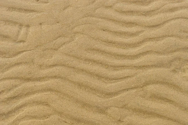 Gros plan de sable humide sur une plage au printemps — Photo