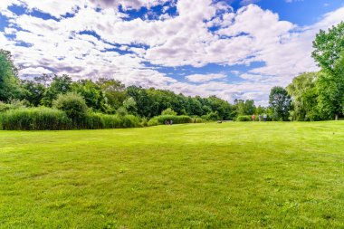 güzel yaz yatay, yumuşak yeşil çimen
