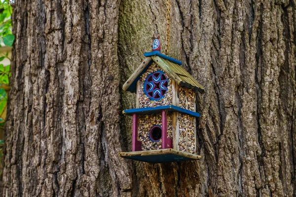 Casa de pássaro de madeira bonita na árvore em Nova Esperança — Fotografia de Stock