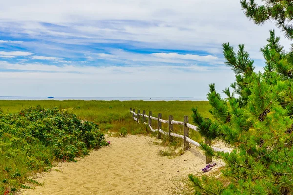 Pusta droga z ogrodzenia na plażę na dzień jasny lato w Provincetown, Cape Cod w stanie Massachusetts — Zdjęcie stockowe