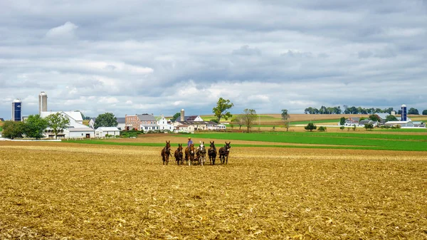 Amish ülke, Pa