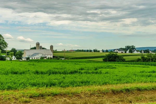 阿米什人的国家农场谷仓场农业宾夕法尼亚兰开斯特 — 图库照片