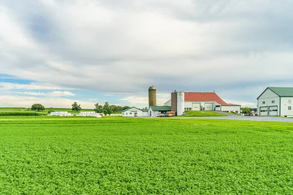 Amish země farmě stáje pole zemědělství v Lancasteru, Pa — Stock fotografie