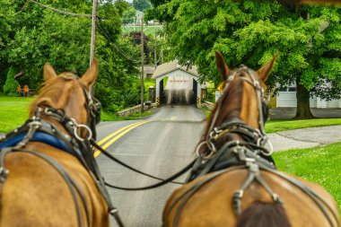 Amish ülke çiftlik alan tarım ve hortumlar Lancaster, PA