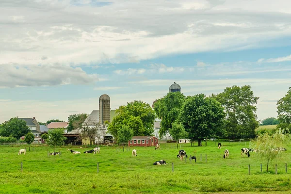 Amish campo granja granero campo agricultura y pastoreo vacas en Lancaster, PA — Foto de Stock