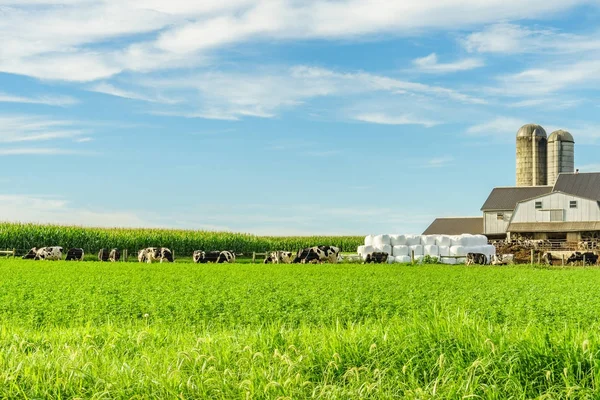 Amish campo granja granero agricultura en Lancaster, PA — Foto de Stock