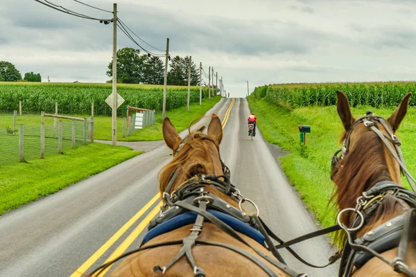 Amish campo agrícola agricultura y mangueras en Lancaster, PA — Foto de Stock