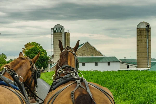 Amish campo agrícola agricultura y mangueras en Lancaster, PA —  Fotos de Stock