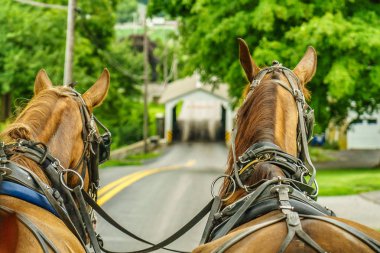 Amish ülke çiftlik alan tarım ve hortumlar Lancaster, PA