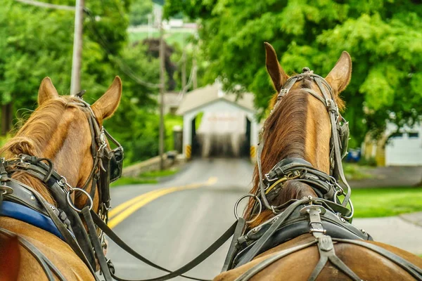 Amish országot farm mező mezőgazdasági és tömlők, Lancaster, PA — Stock Fotó