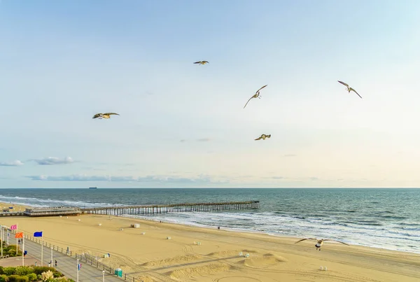 Virginia Beach Fishing Pier och Boardwalk, Virginia Beach, Virginia — Stockfoto